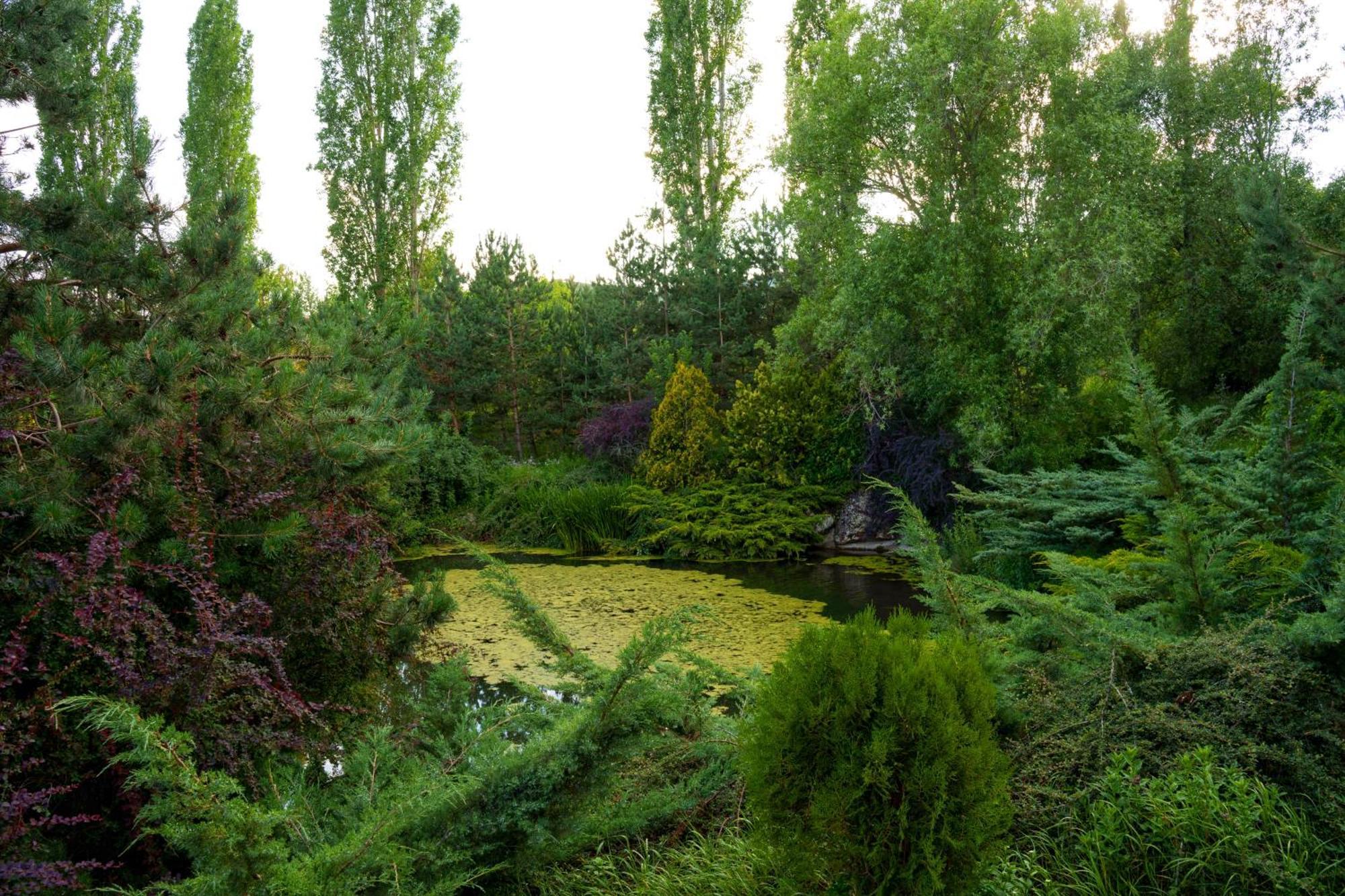 Ma Byurakan Dış mekan fotoğraf
